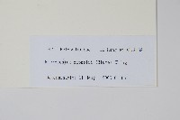 登錄號:P010743藏品圖，第2張