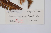 登錄號:P010748藏品圖，第2張