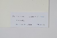 登錄號:P010750藏品圖，第2張