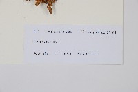 登錄號:P010753藏品圖，第2張