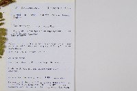 登錄號:P010754藏品圖，第2張