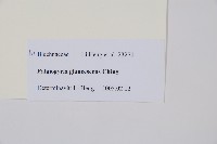 登錄號:P010755藏品圖，第2張