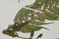 登錄號:P010757藏品圖，第5張