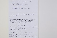 岩蕨藏品圖，第2張