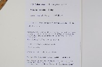 登錄號:P010775藏品圖，第2張