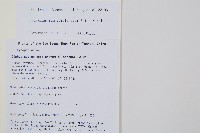 扁枝石松藏品圖，第2張