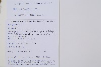 散生木賊藏品圖，第2張