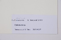 登錄號:P010786藏品圖，第3張