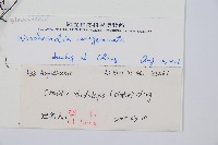 生芽狗脊蕨、頂芽狗脊蕨藏品圖，第2張