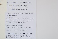 細葉蕗蕨藏品圖，第2張