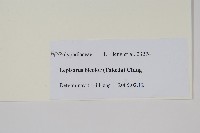 兩色瓦葦藏品圖，第2張