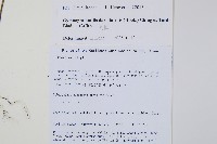 雨蕨藏品圖，第2張