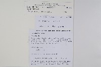 疏葉卷柏藏品圖，第2張