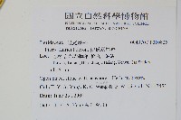 傅氏鳳尾蕨藏品圖，第2張