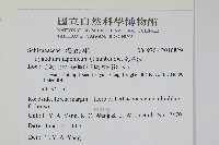 海金沙藏品圖，第2張