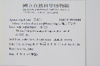 線片長筒蕨藏品圖，第2張