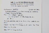 海島陵齒蕨藏品圖，第2張