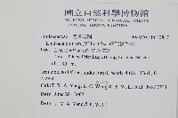 網脈鱗始蕨藏品圖，第2張
