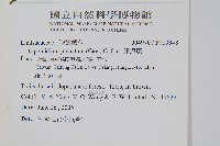 達邊蕨藏品圖，第2張