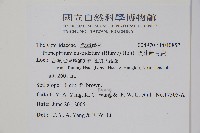 頂芽新月蕨藏品圖，第2張