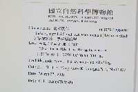 攀緣陵齒蕨、攀緣鱗始蕨藏品圖，第2張