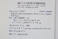 單葉雙蓋蕨藏品圖，第2張