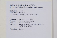 魚鱗蕨藏品圖，第19張