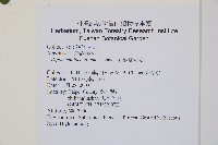 翅柄雙蓋蕨藏品圖，第7張