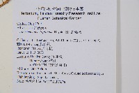 對生蹄蓋蕨藏品圖，第2張