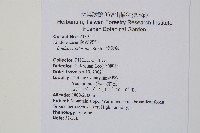 陵齒蕨、鱗始蕨藏品圖，第2張