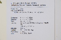 姬蹄蓋蕨藏品圖，第2張