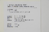 薄葉三叉蕨藏品圖，第2張