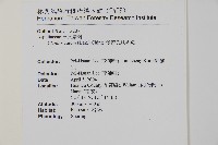 愛德氏肋毛蕨藏品圖，第2張