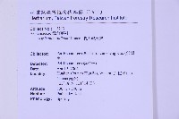 俄氏鐵角蕨藏品圖，第2張