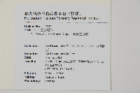 薄葉三叉蕨藏品圖，第2張