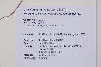 宿蹄蓋蕨藏品圖，第2張