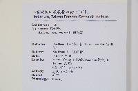 鐵角蕨藏品圖，第2張