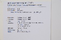 阿里山鱗毛蕨藏品圖，第2張