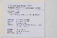 細柄雙蓋蕨藏品圖，第2張