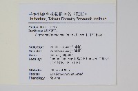 日本金粉蕨藏品圖，第2張