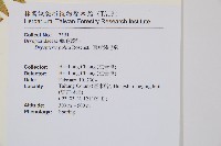 臺東鱗毛蕨藏品圖，第2張