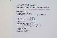 黑鱗耳蕨藏品圖，第2張