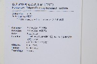 迷人鱗毛蕨、異蓋鱗毛蕨藏品圖，第2張