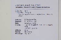 威氏聖蕨藏品圖，第2張