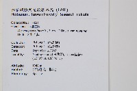 大羽芒萁藏品圖，第2張