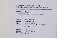 細葉姬蕨藏品圖，第17張