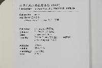 傅氏三叉蕨藏品圖，第2張