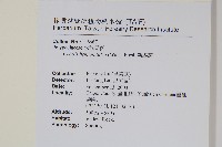 斷線蕨藏品圖，第2張