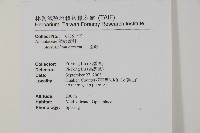 鹵蕨藏品圖，第7張