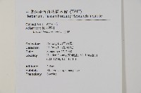 鹵蕨藏品圖，第9張